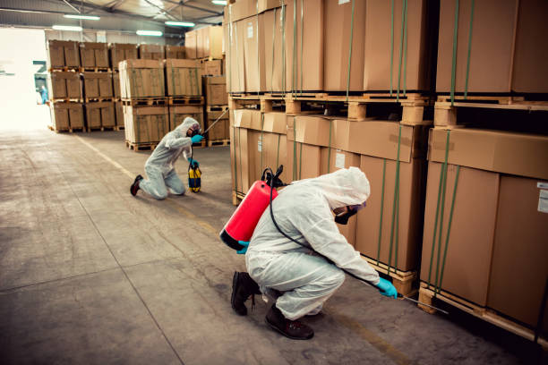 Best Pest Prevention Services  in Covington, KY