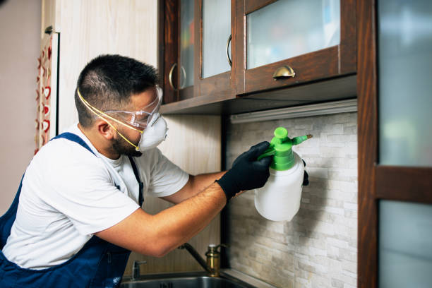Best Affordable Pest Control Services  in Covington, KY