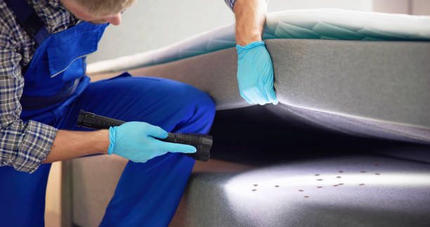 Best Bed Bug Extermination  in Covington, KY