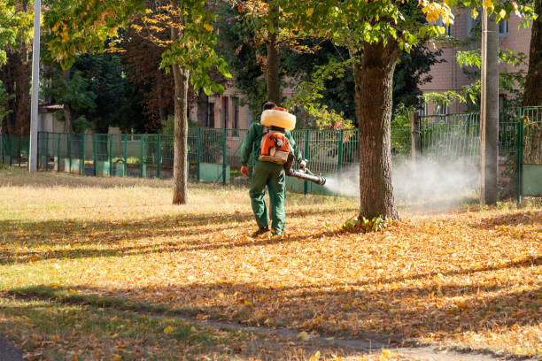 Best Flea Control Services  in Covington, KY