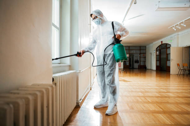 Best Affordable Pest Control Services  in Covington, KY