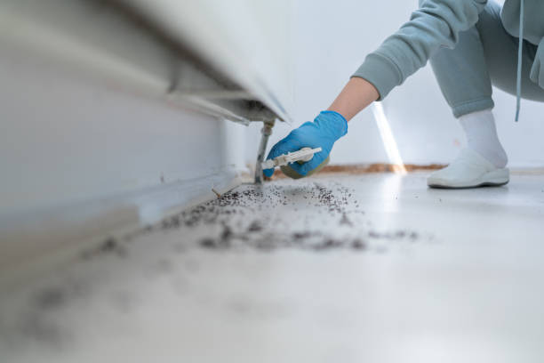 Best Commercial Pest Control Services  in Covington, KY
